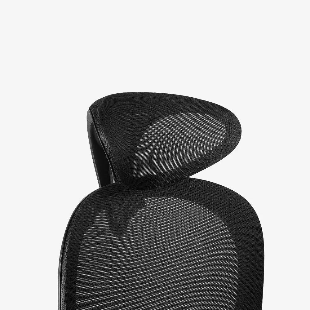 Neodax Ava Ergonomic Mesh Chair, Carbon Black