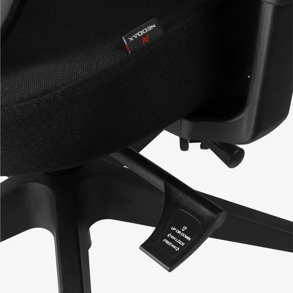 Neodax Ava Ergonomic Mesh Chair, Carbon Black